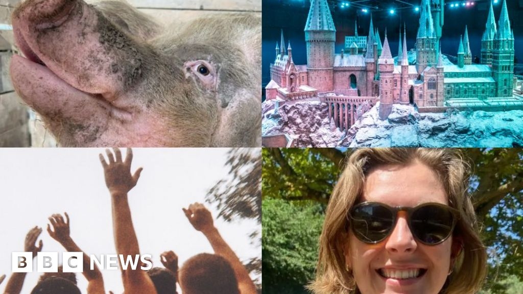 East of England news quiz of the week 28 June -4 July