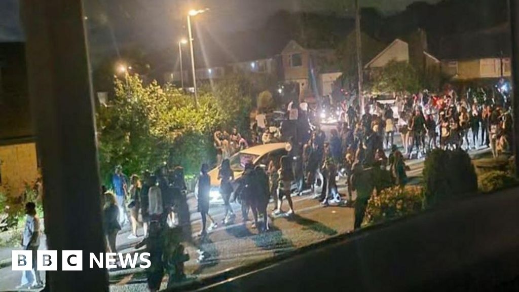 Apology after 200 people turn up for  'wild party' in rental home