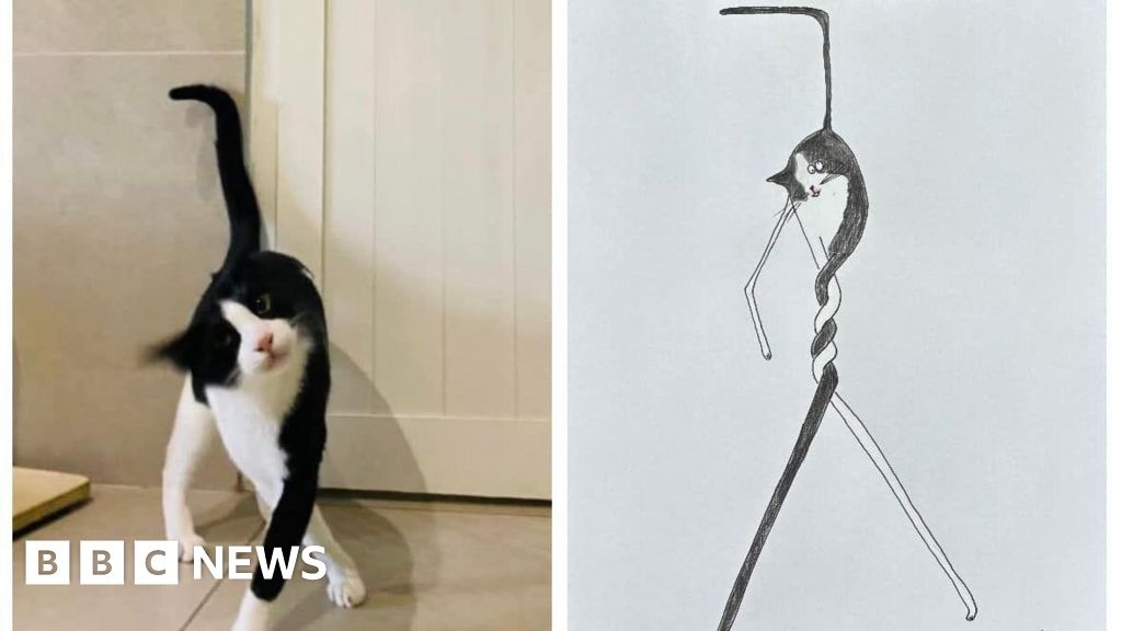Pet artist Hercule Van Wolfwinkle raises £450,000 for charity