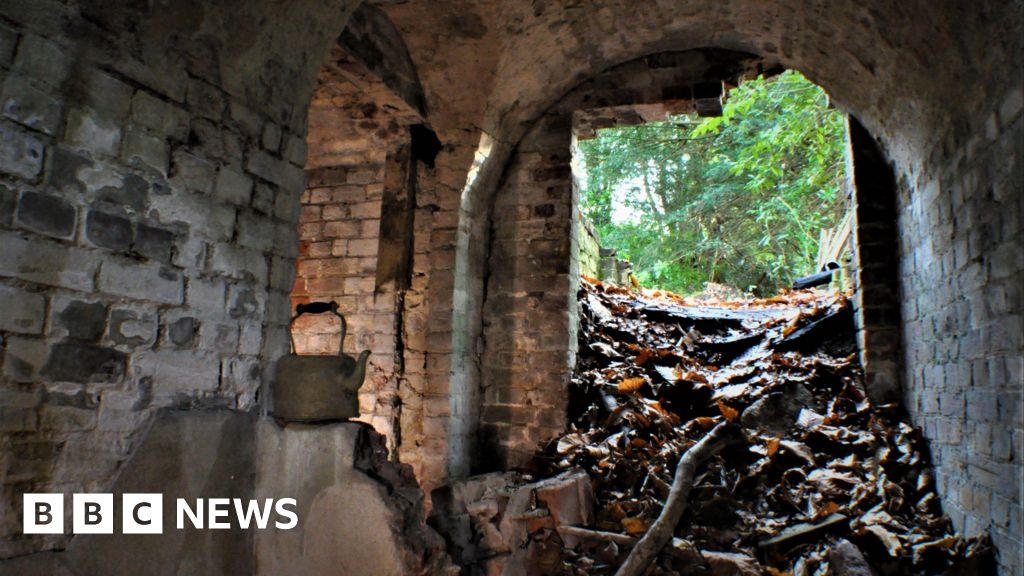 Historic hidden Surrey ice house could be blocked up