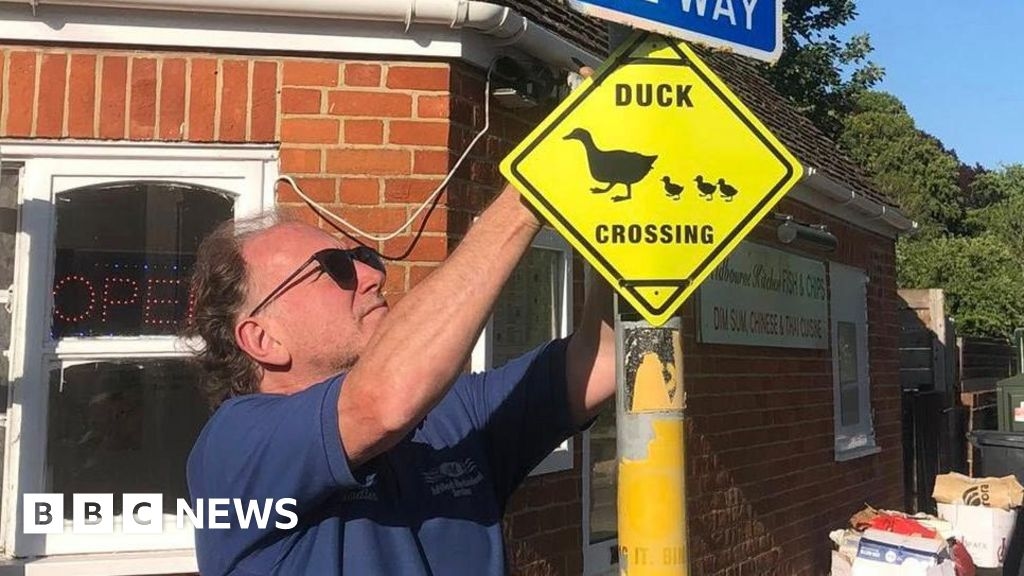 Aldbourne villagers install signs to protect family of ducks
