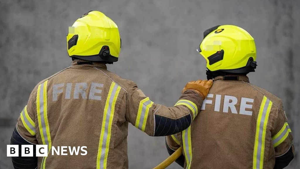 Disposable barbecue blamed for Nesscliffe woodland fire