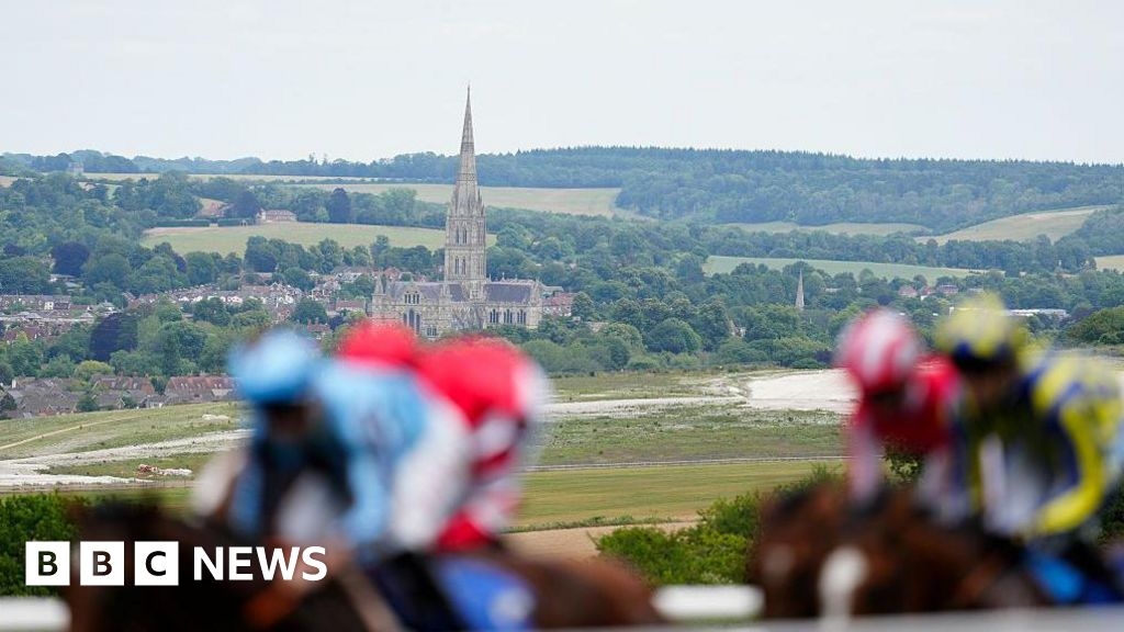 Wiltshire in pictures: Steeds, scenery and sunrise