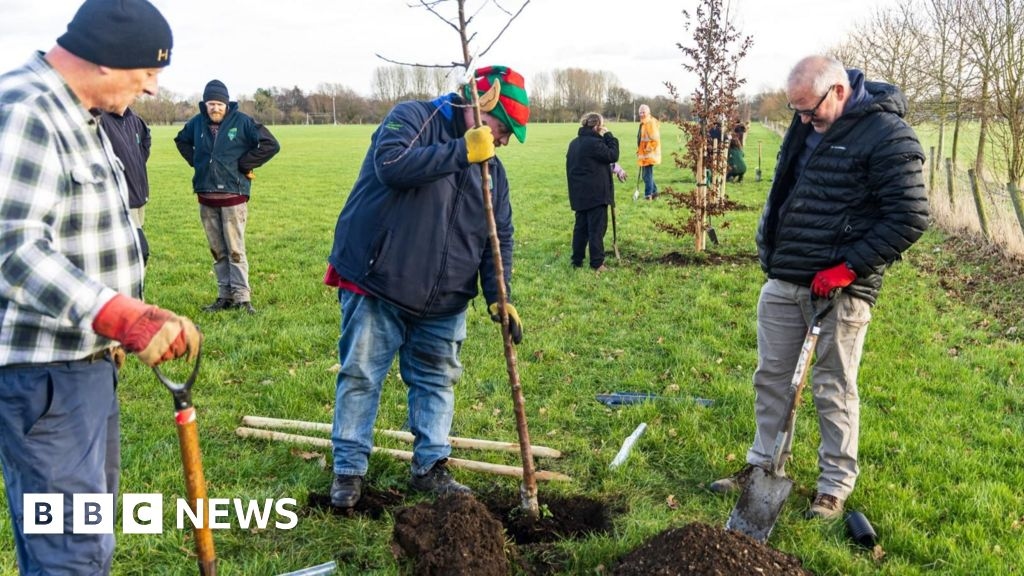 Increase in tree planting in Humber Forest project