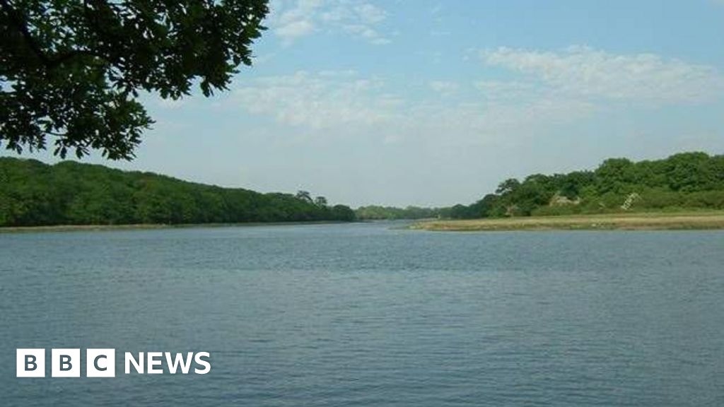 River Hamble visitors warned over toxic blue-green algae