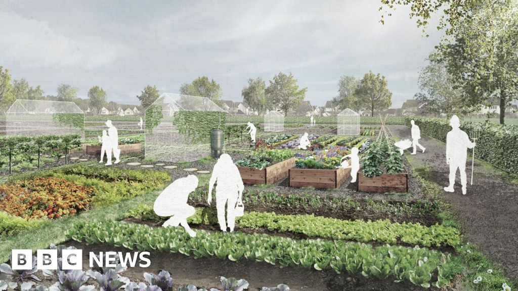 Charity plans 145-plot allotment area in Inverness