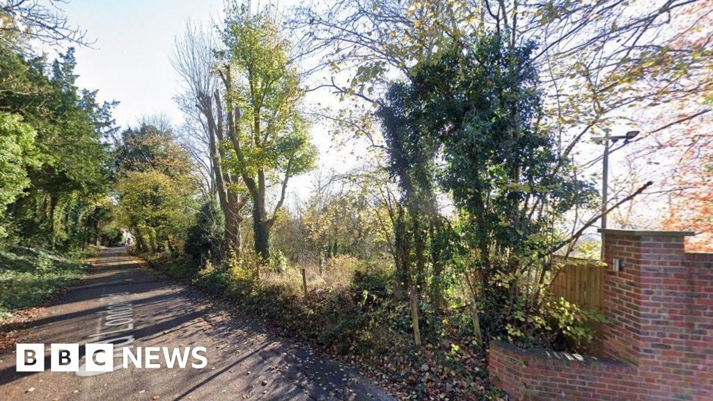 Plans to turn old Wrotham allotments into homes unveiled