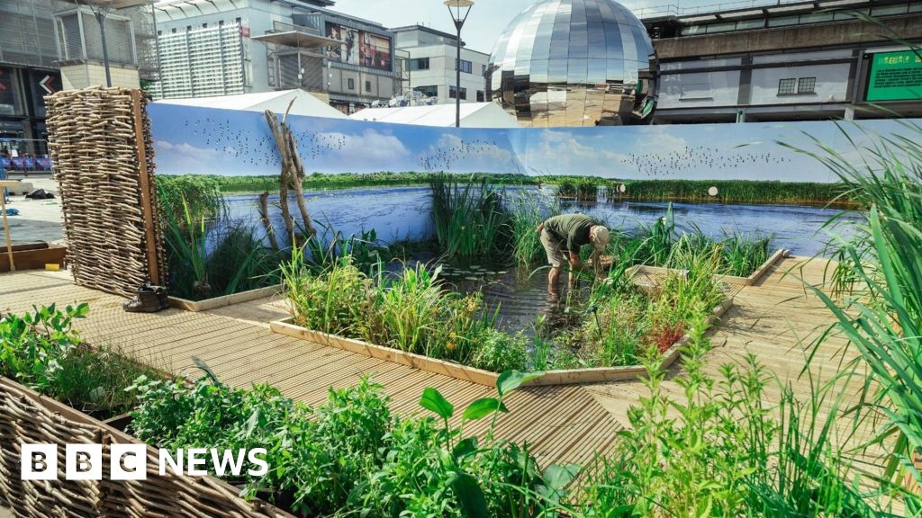 Festival of Nature in Bristol involves Millennium Square wetland