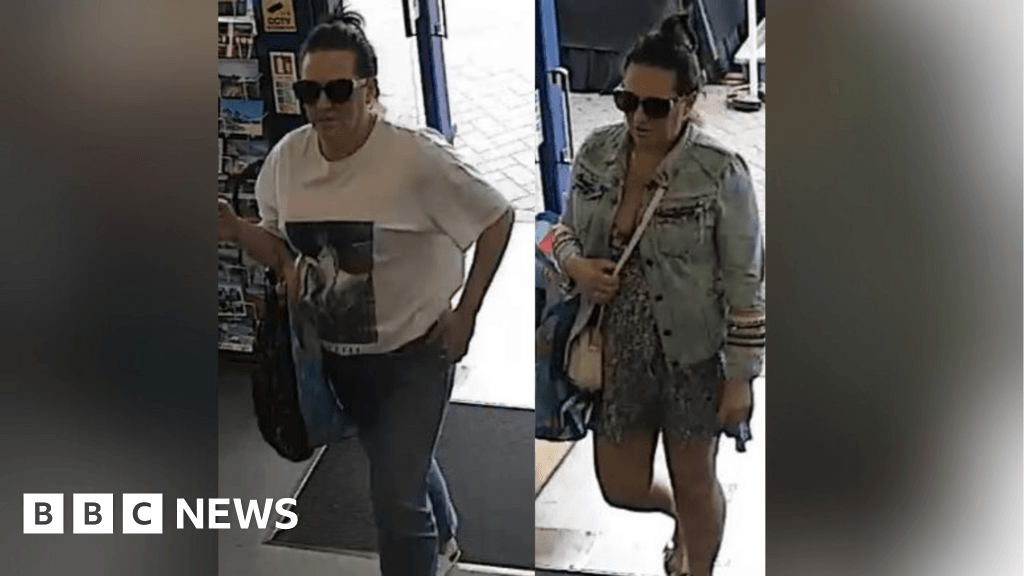 Dorset Police search for woman in Jellycat toy theft investigation