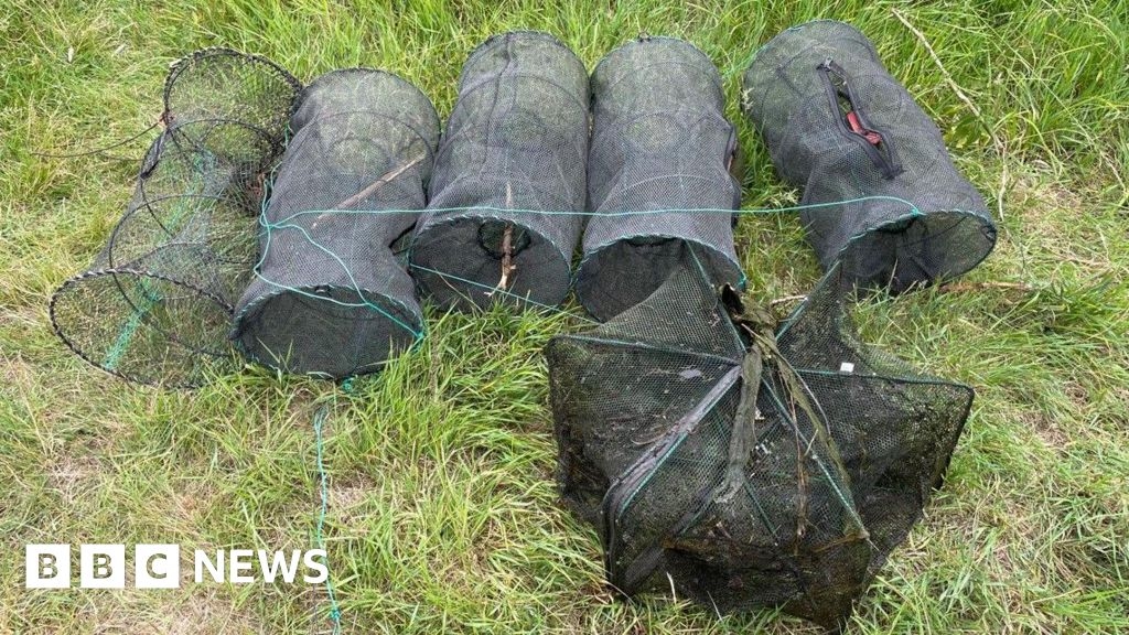 Birmingham and Fazeley Canal's illegal crayfish traps removed