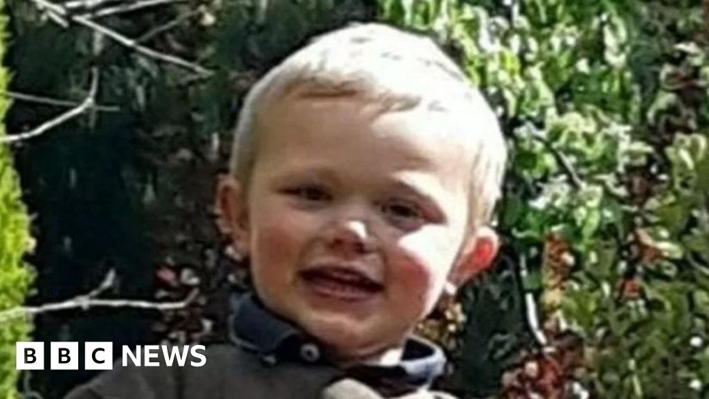 Daniel Twigg: Boy, 3, 'left alone' before fatal dog attack on farm