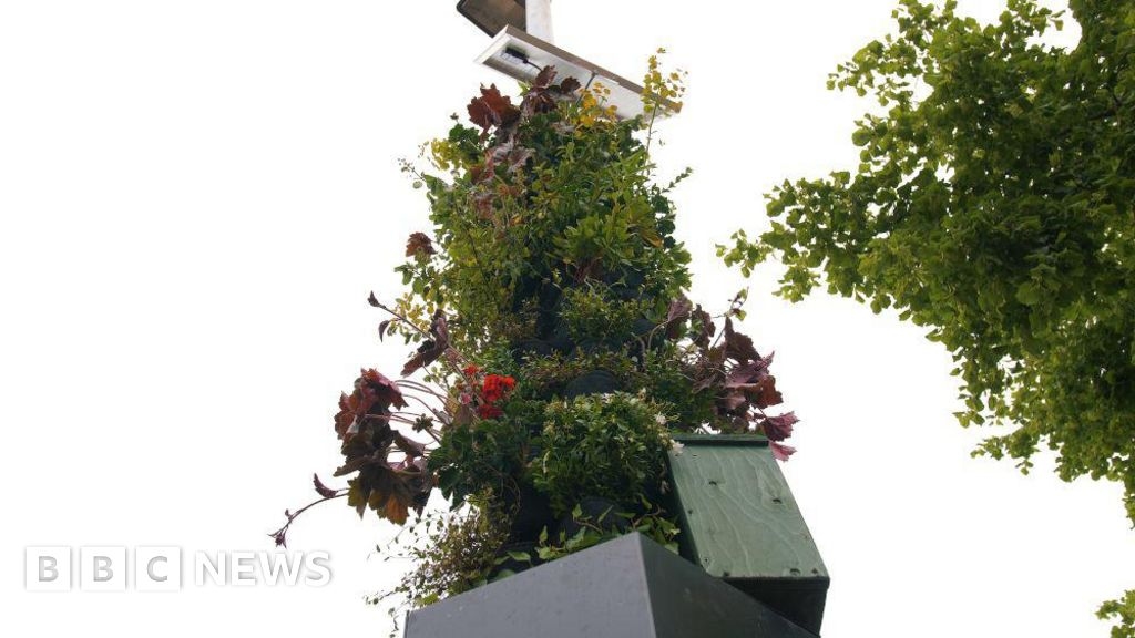 'Living pillars' to be installed on Derby city centre lamp-posts