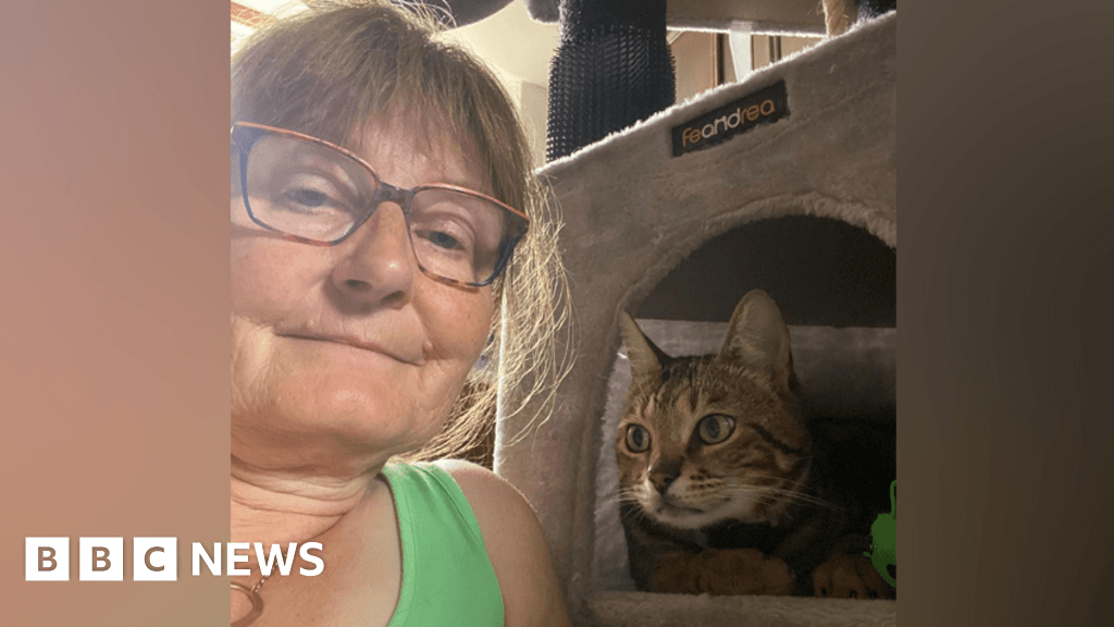Borrowdale cat found near Gretna after kidnap claim