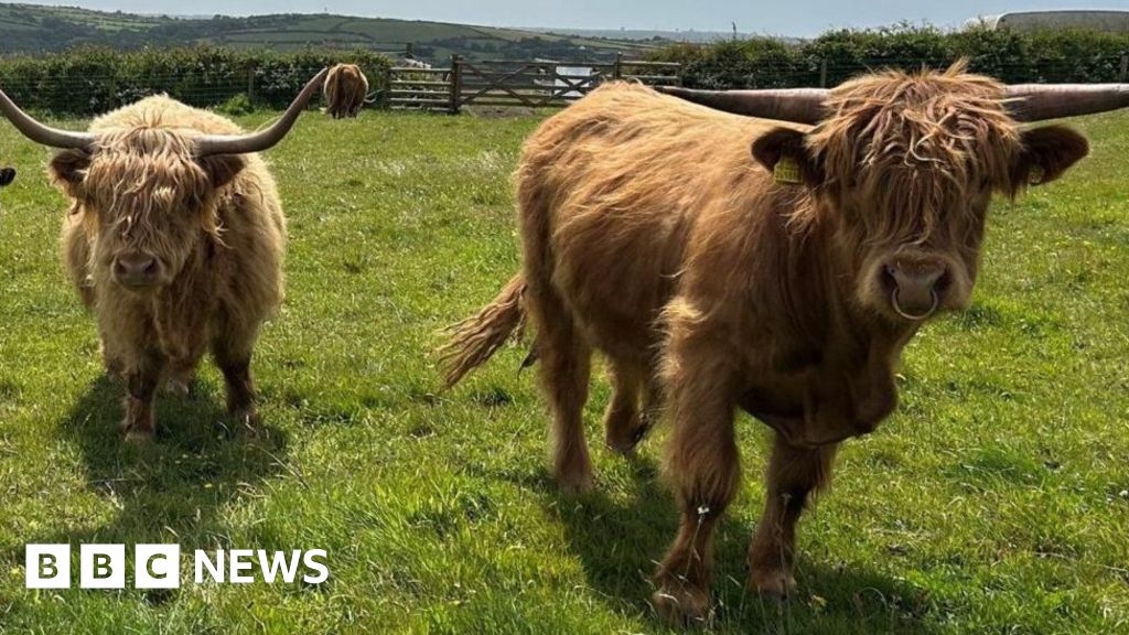 Water company threatens to cut off Cornwall farm's water supply