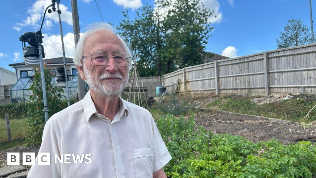 Raucous peacock chomps through Marlborough's veg patches
