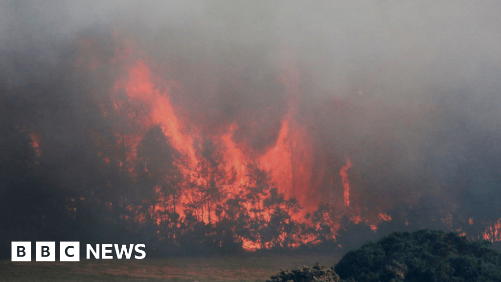 Fire crews battle two-day wildfires north of Grantown-on-Spey as roads closed