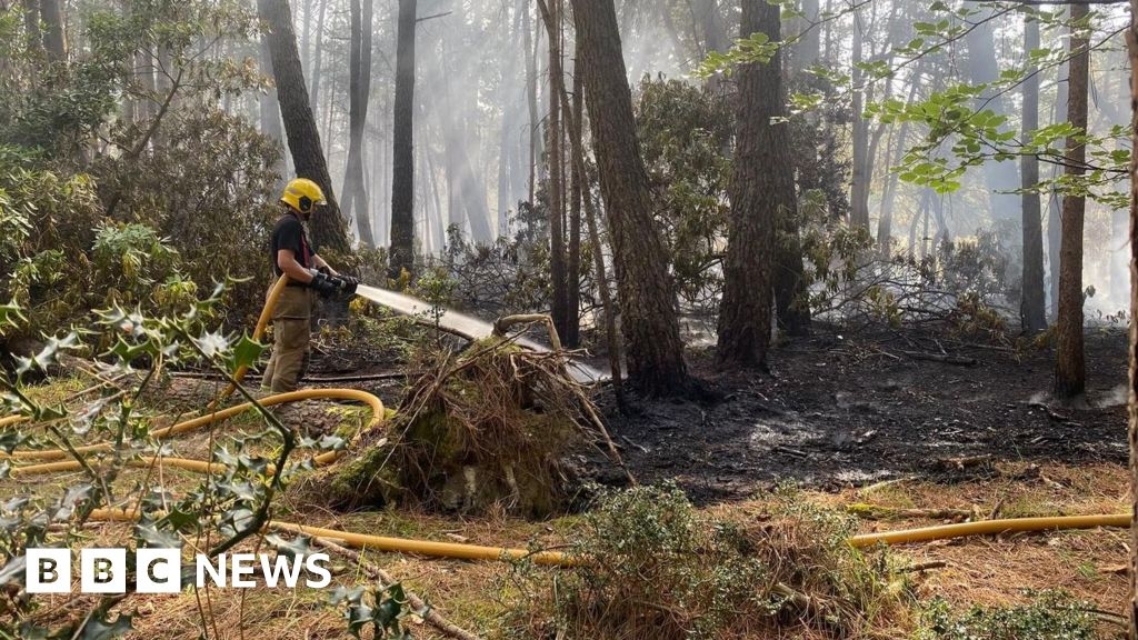 Fire crews put out fire started 'deliberately' on Holton Heath