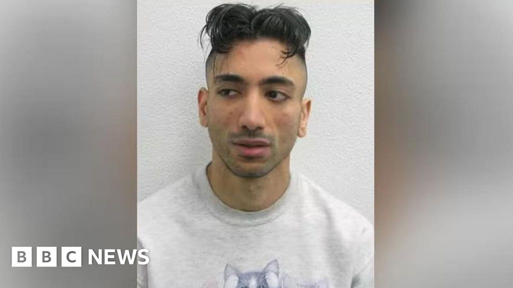 Jacky Jhaj: How was a paedophile able to hire Disneyland?