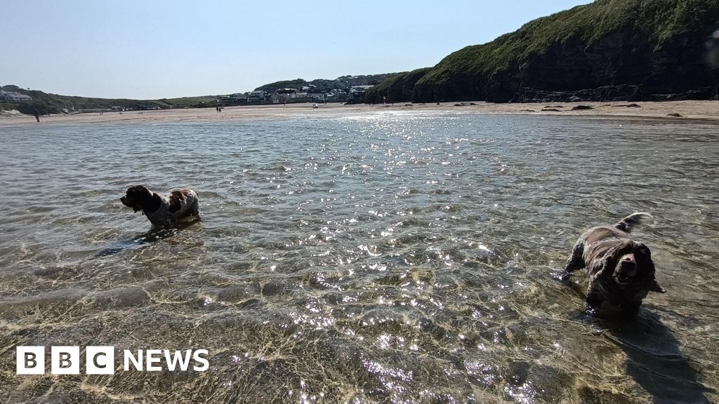 Devon and Cornwall braces for heatwave