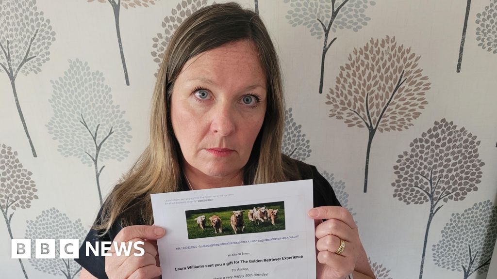 Somerset dog experience: 'My birthday gift unknowingly funded dog abuse'