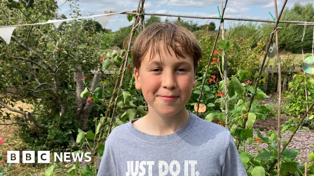 Green-fingered Gloucestershire pupils turn £5 veg loan into profit