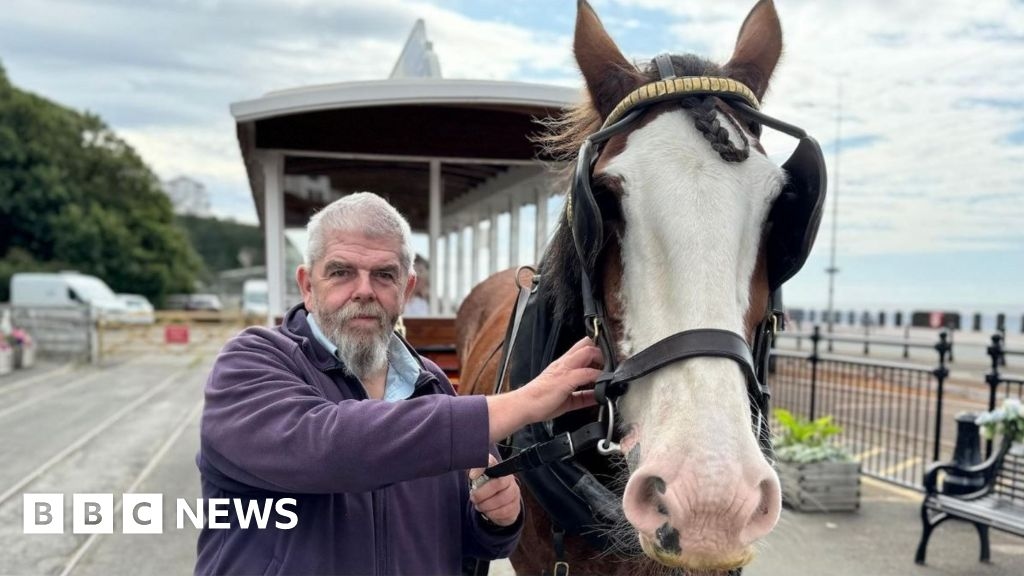 Driver celebrates 'unbelievably unique' 50-year horse tram career