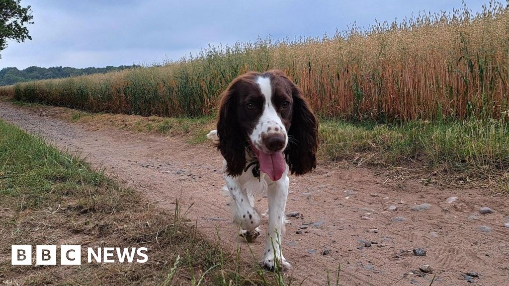 Your photos from across West Midlands: A week of heatwave weather
