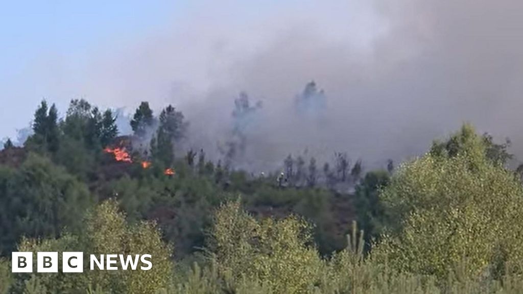 Fire breaks out on Surrey nature reserve used in Hollywood films