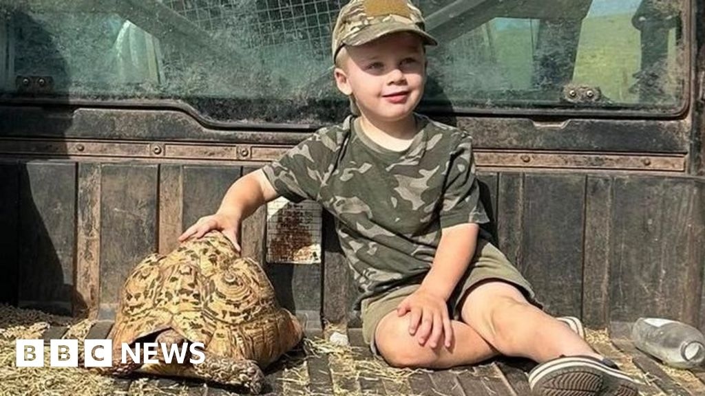 Runway Devon tortoise found after 16-day adventure