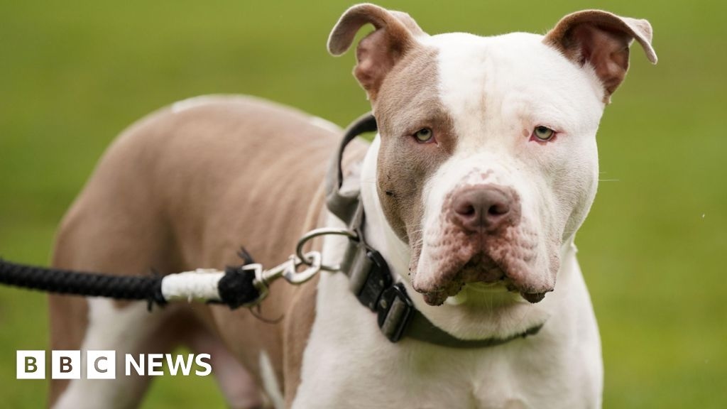Hertfordshire Police force spent £215,018 on kennelling dogs