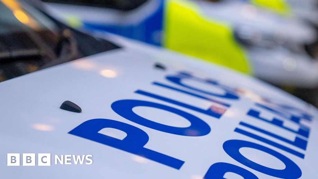 Pregnant woman 'severely hurt by XL Bully dog' in Aberdeenshire