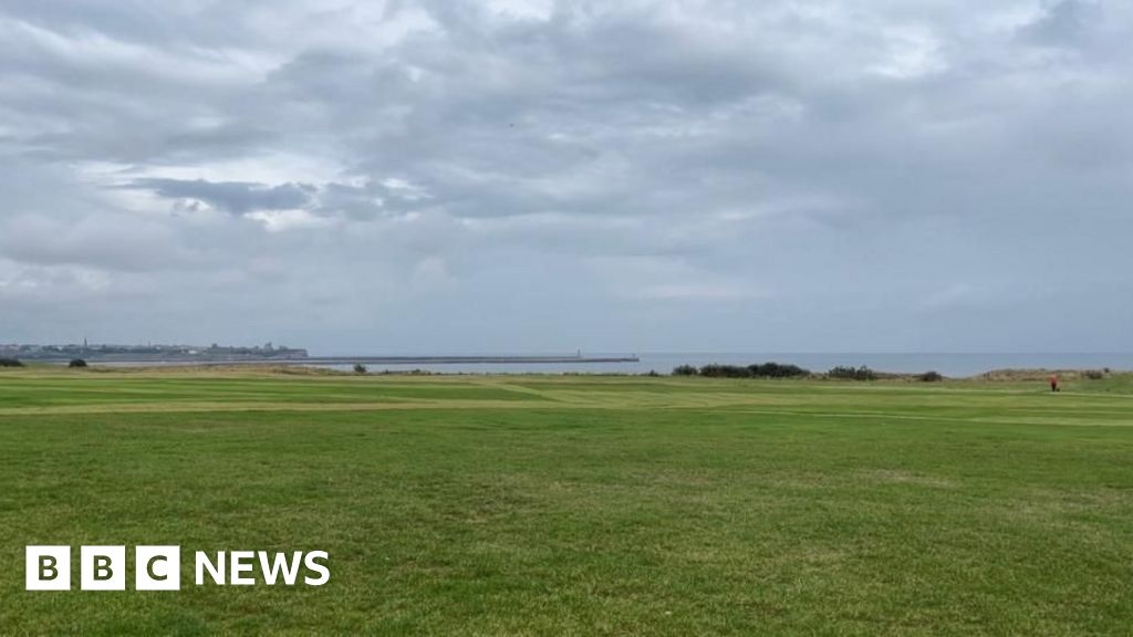 South Shields: Lamp-posts approved for coast road near The Leas