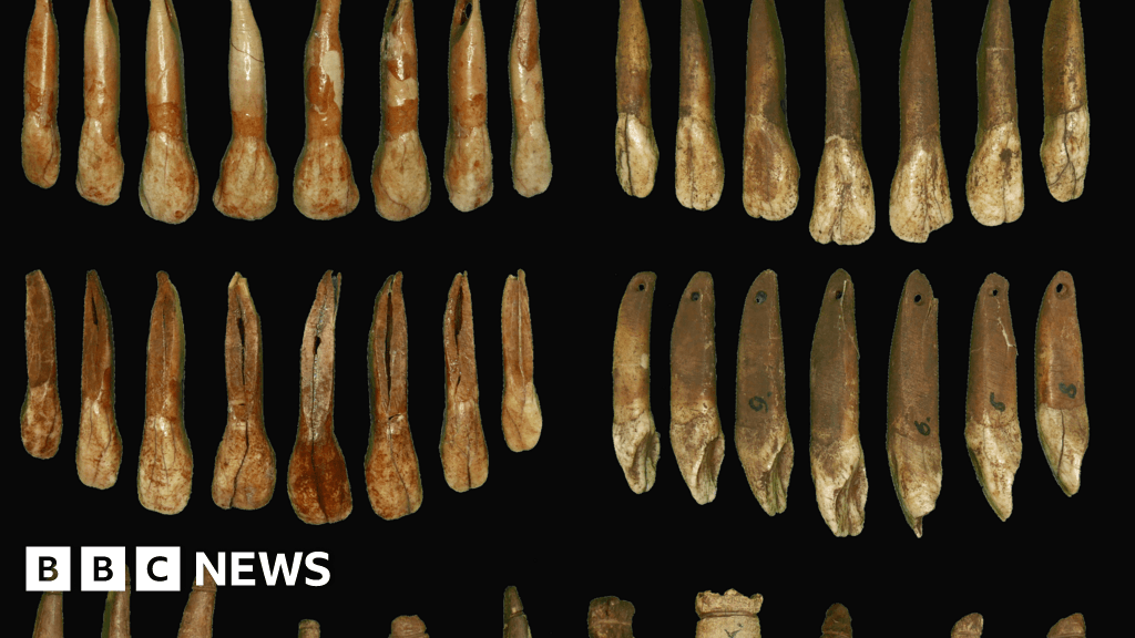 Slow cooking used to extract animal teeth for Stone Age jewellery