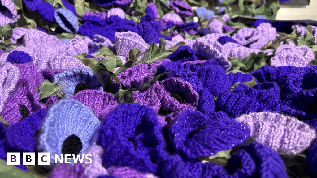 Poppies display marks animals' wartime sacrifice