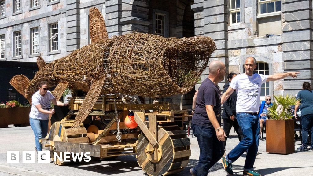 Giant wicker shark in Plymouth to raise conservation awareness