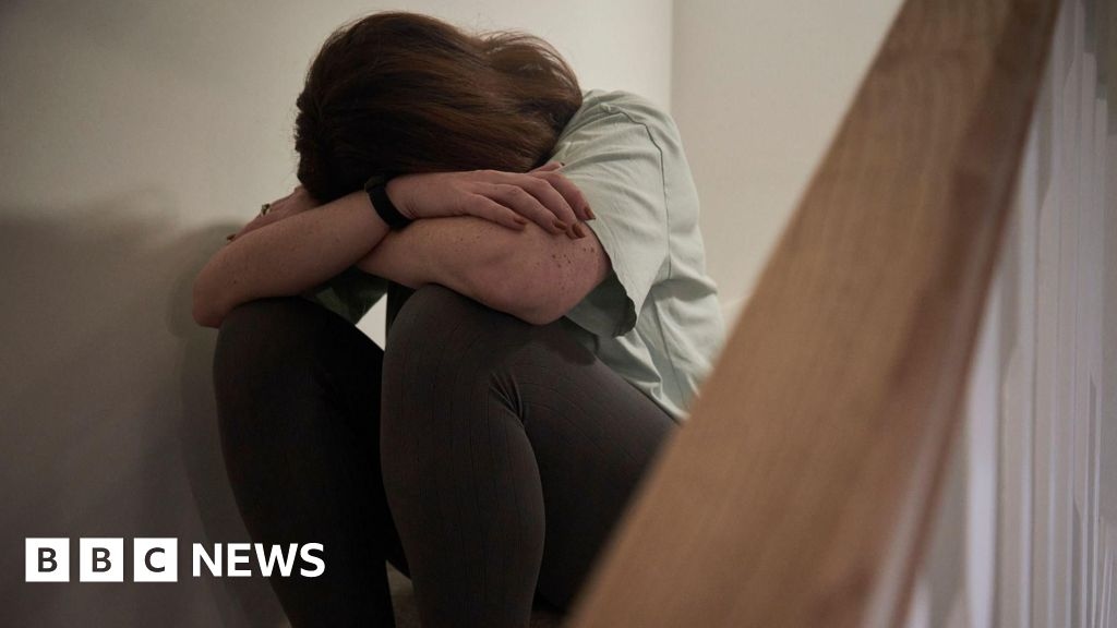 Colchester domestic abuse support clinics for women praised