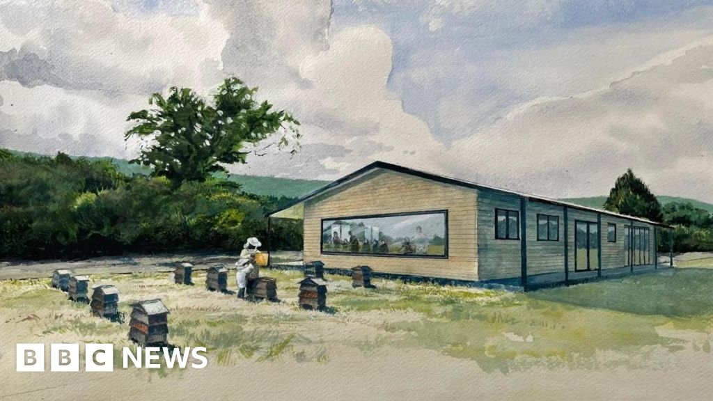 New 'bee paradise' near Blandford planned to boost conservation