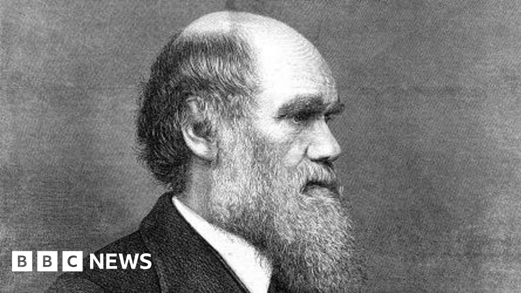 Timepiece linked to Charles Darwin voyage cannot leave UK