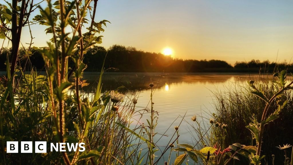 Your photos of the West Midlands: Cathedral, cattle and composer