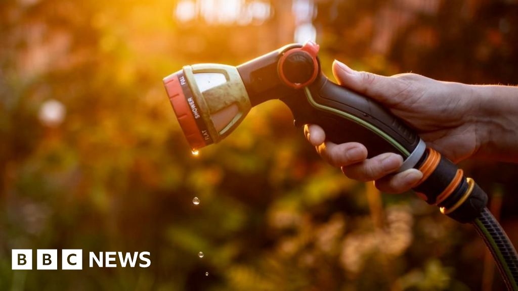 Hosepipe ban: How will it affect me in Sussex and Kent?