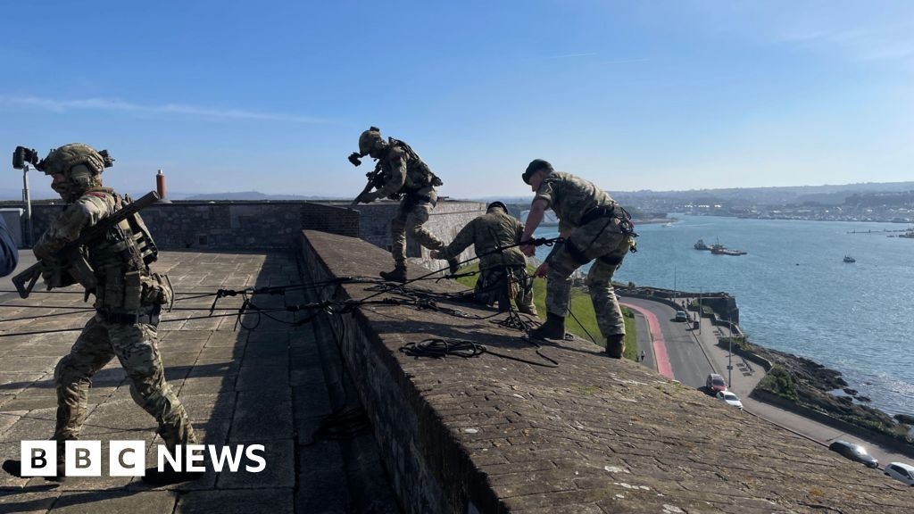 Armed Forces Day returns to Plymouth Hoe