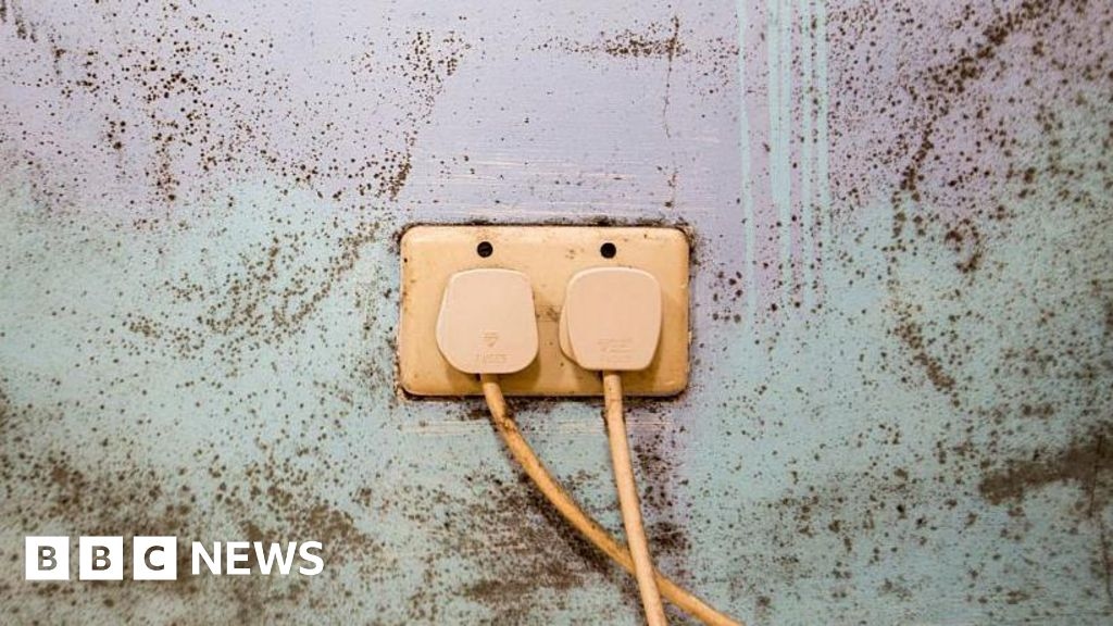 Scheme finds 6,500 hazards in Peterborough rented homes