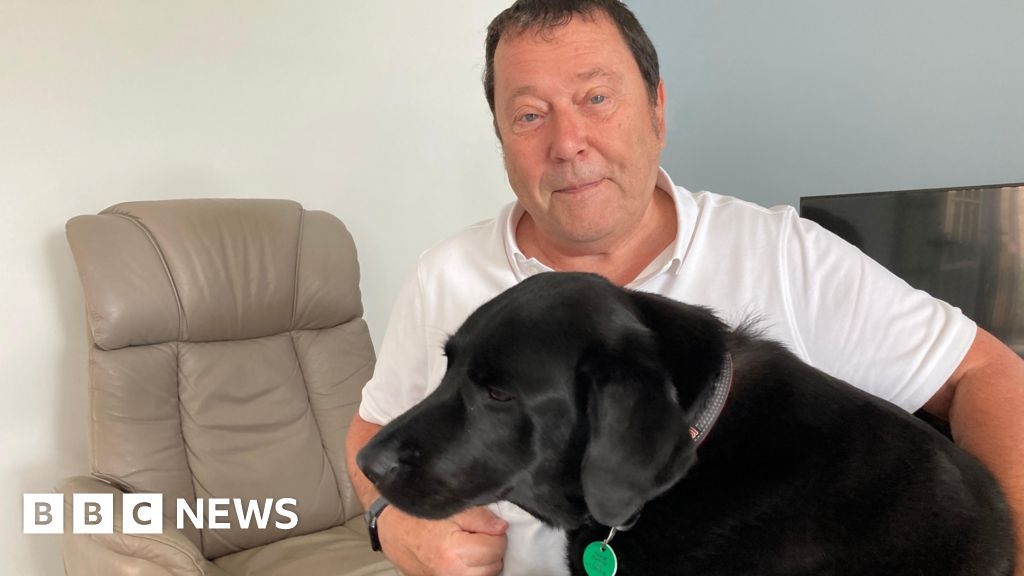 'My assistance dog helps me be part of life'