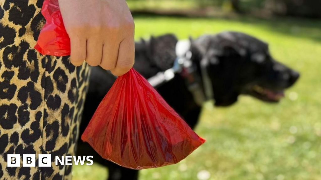 Ramsey commissioners launch campaign to tackle dog fouling