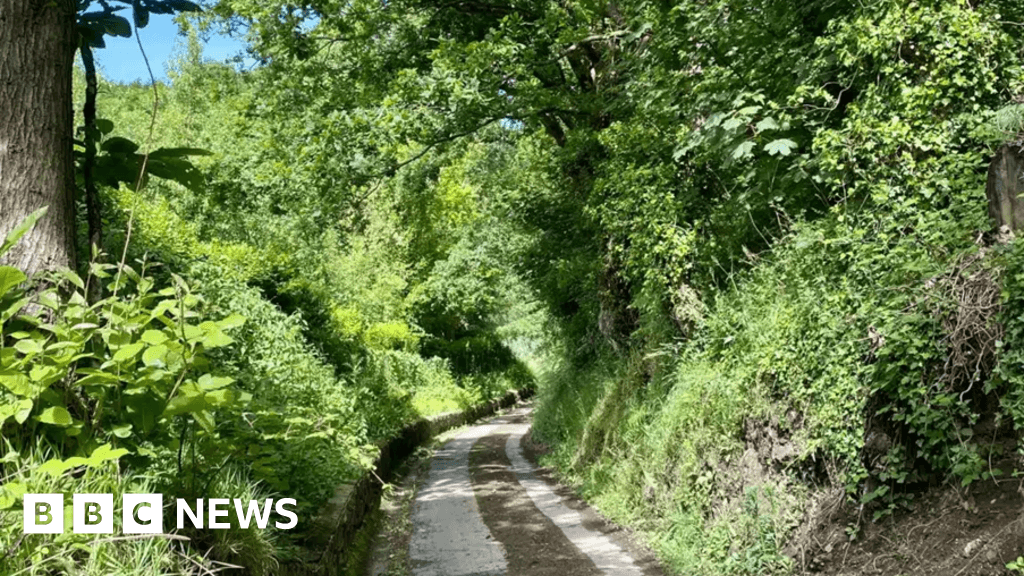 Jersey rural lane named island's prettiest in competition