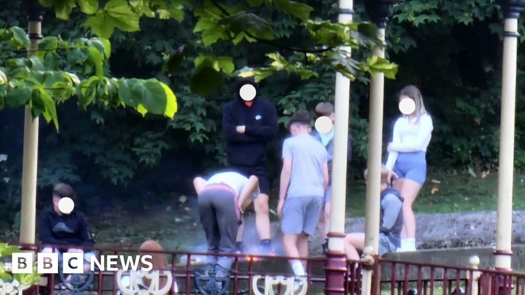 Barnes Park fire probe as Sunderland council action continues