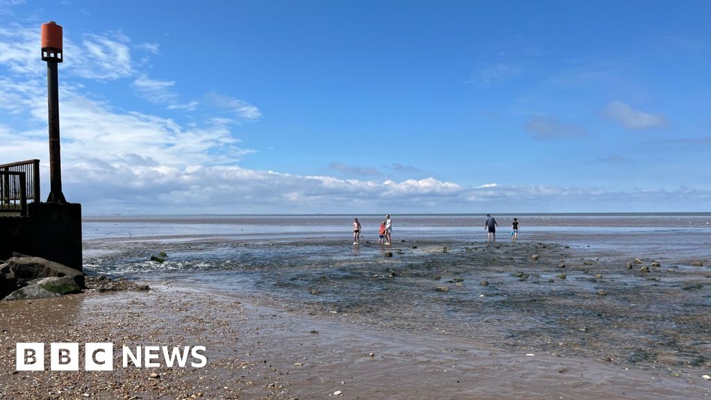 Heacham beach 'may never be safe for swimming', council hears