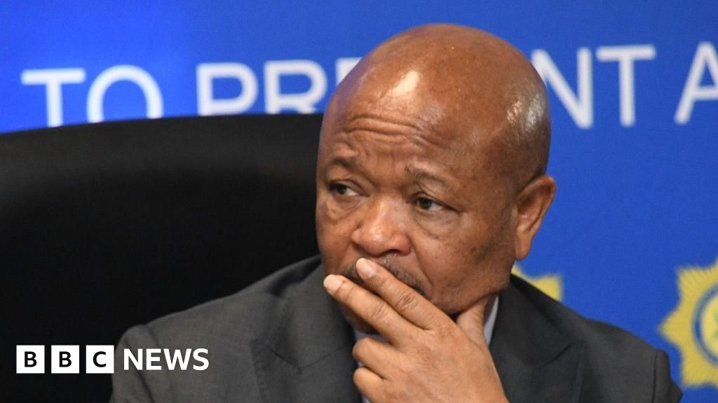 Cyril Ramaphosa suspends SA police minister Senzo Mchunu over allegations