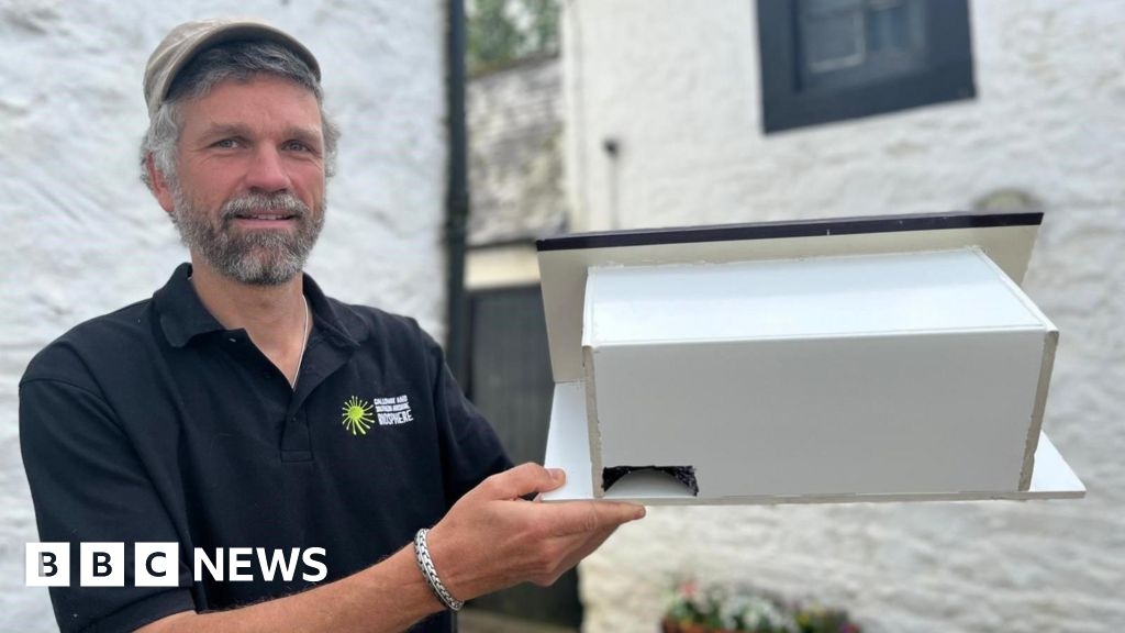 Dumfries prisoners' bird boxes aim to aid struggling swifts