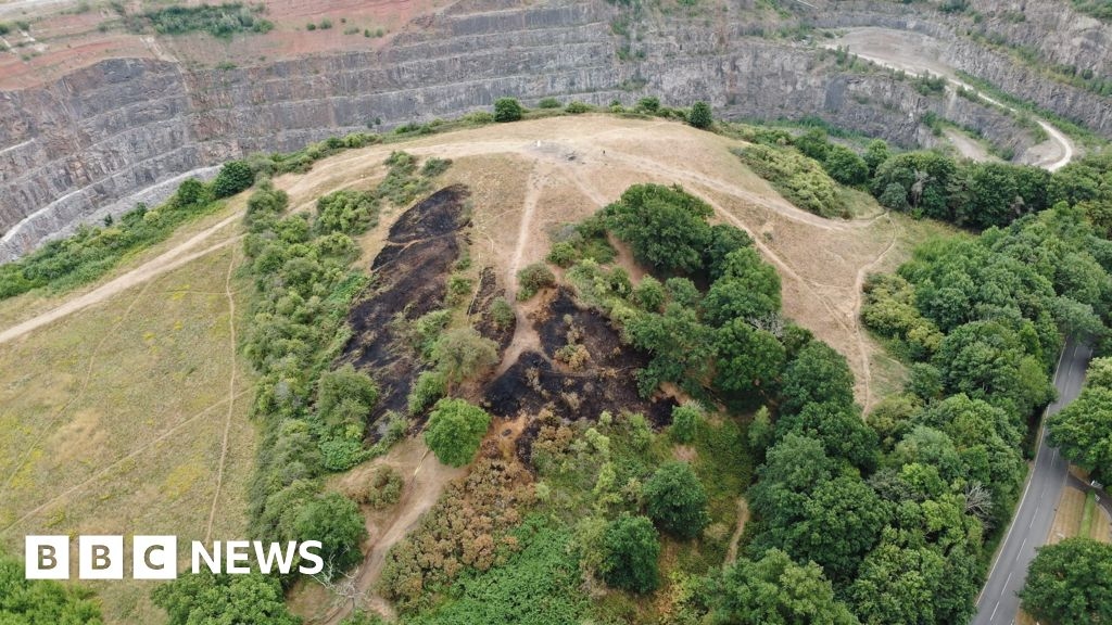 Disposable barbecue caused large Croft Hill grassland fire